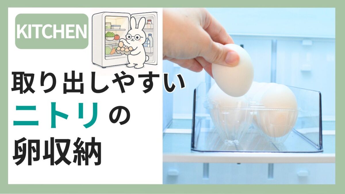 ニトリの卵ケースを冷蔵庫に入れて取り出している様子