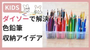 ダイソーの収納ケースに色鉛筆を種類別に並べた様子