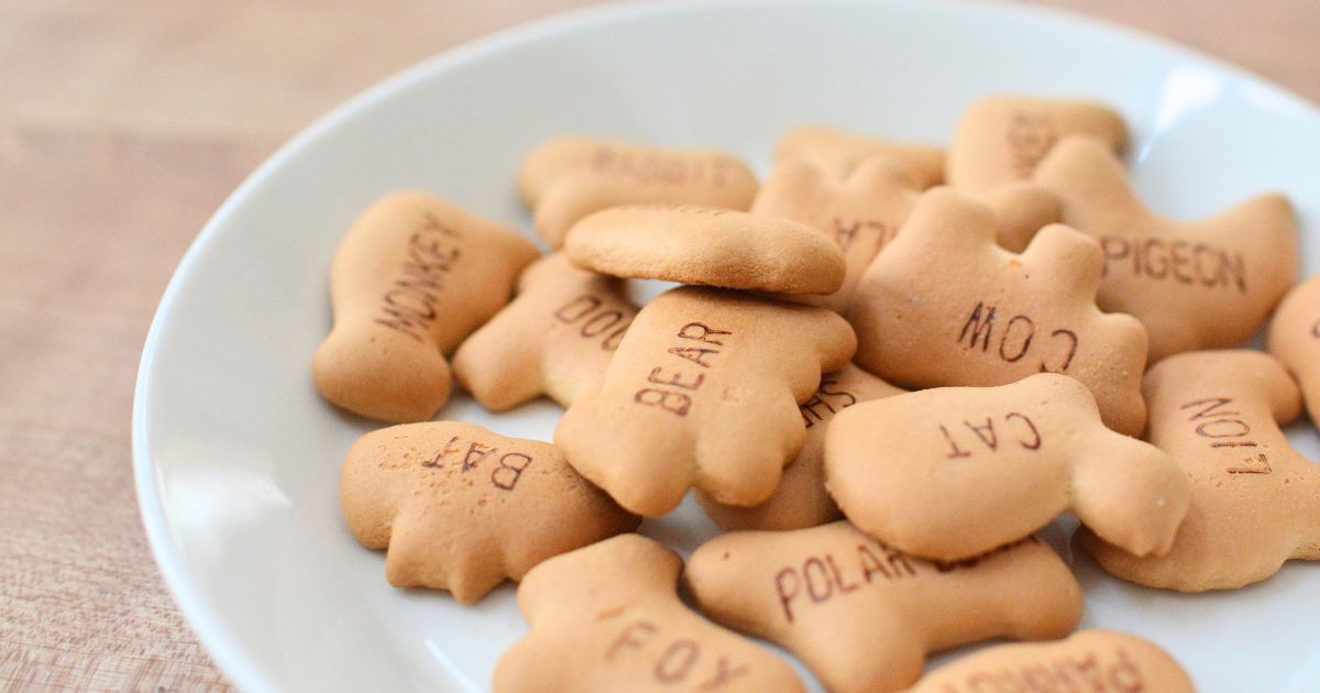 たべっ子どうぶつの保存缶から皿に出したビスケット