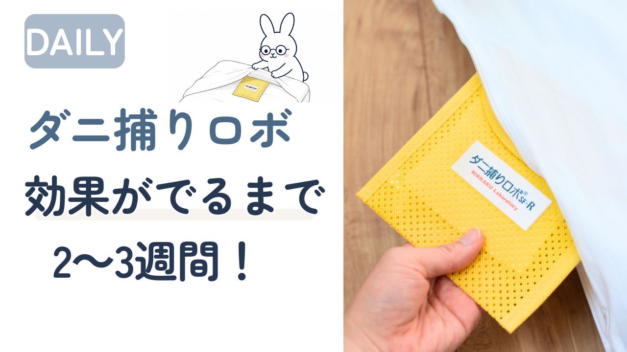 ダニ捕りロボの効果がでるまで2～3週間・布団に設置しているアイキャッチ画像