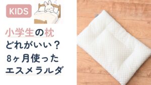 小学生の枕選びにエスメラルダをおすすめするアイキャッチ画像。エスメラルダ枕の実物写真と「どれがいい?枕選びの正解はエスメラルダ」のテキスト入り
